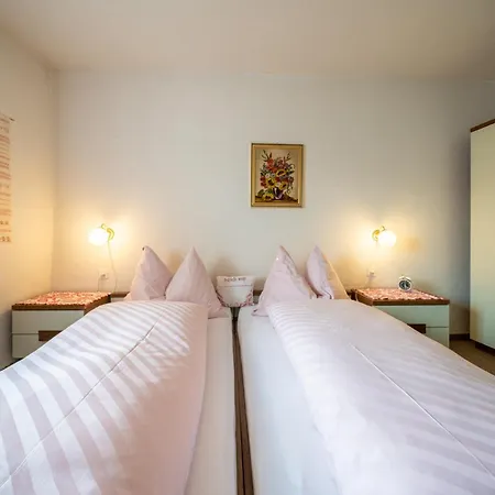 Apartment Chasa Rosa