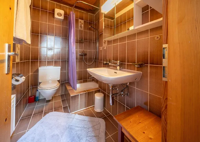 Chasa Rosa Appartement Vna